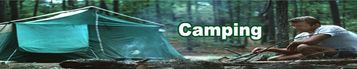 Complete Niche Camping Website