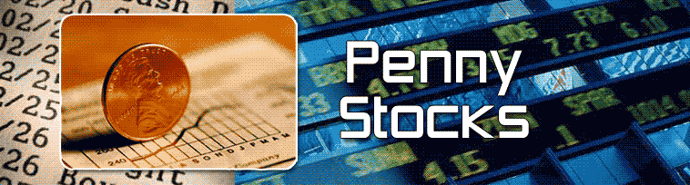 Complete Niche Penny Stocks Website