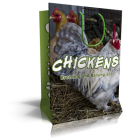 Chickens Niche Website