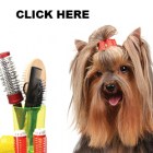 Dog Grooming Affiliate Kit