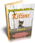 Extensive Guide to Kittens