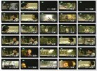 Thumbnails For Your Videos