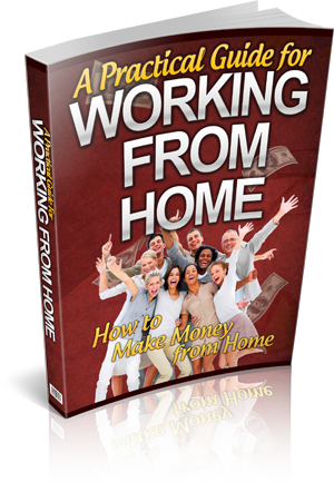 Working from Home Online Job Secret