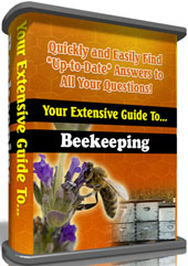 Your Extensive Guide to Beekeeping