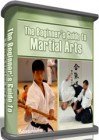 Beginners Guide to Martial Arts