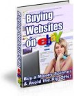 Buying websites on Ebay