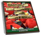 Cash In on the Holidays with Angry Birds
