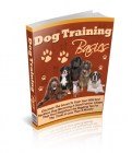 Dog Training Basics - Updated