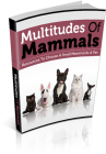 Multitudes Of Mammals