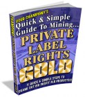 Quick and Simple Guide to Mining Private Label Rights Gold